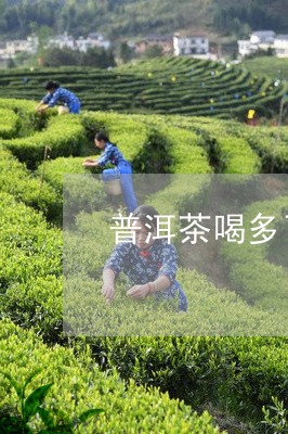 普洱茶喝多了恶心/2023041245948