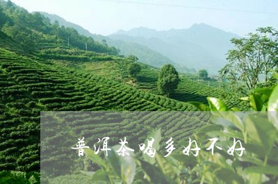 普洱茶喝多好不好/2023040172946