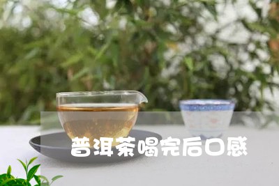 普洱茶喝完后口感/2023031741705