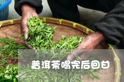 普洱茶喝完后回甘/2023040172824