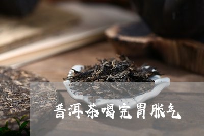 普洱茶喝完胃胀气/2023041040694