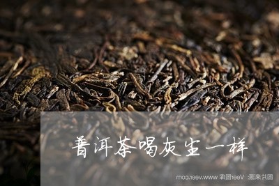 普洱茶喝灰尘一样/2023033156562