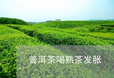 普洱茶喝熟茶发胀/2023032994947