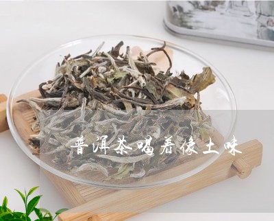 普洱茶喝着像土味/2023040163726