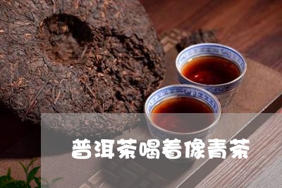 普洱茶喝着像青茶/2023031689526