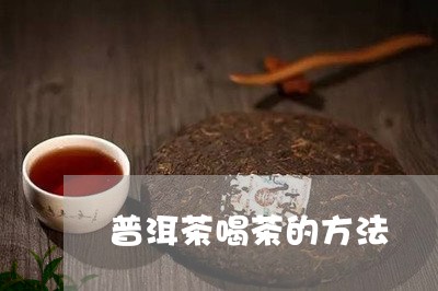 普洱茶喝茶的方法/2023041314926