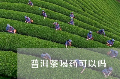 普洱茶喝药可以吗/2023031621615