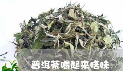 普洱茶喝起来啥味/2023033191914