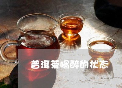 普洱茶喝醉的状态/2023041049617