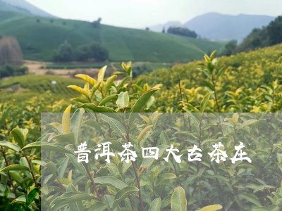 普洱茶四大古茶庄/2023033080027