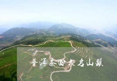 普洱茶四大名山头/2023031870615