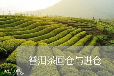 普洱茶回仓与进仓/2023033146572