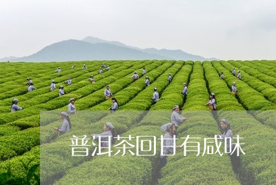 普洱茶回甘有咸味/2023040183925