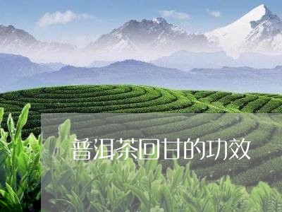 普洱茶回甘的功效/2023040136160