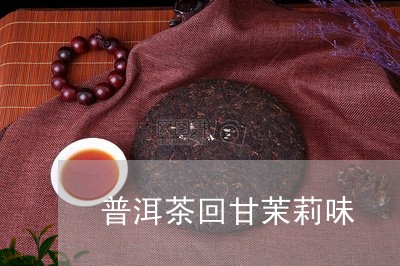 普洱茶回甘茉莉味/2023032901838