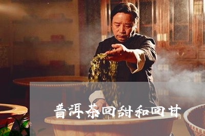 普洱茶回甜和回甘/2023033170824