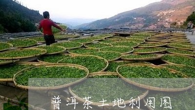 普洱茶土地利用图/2023033105948