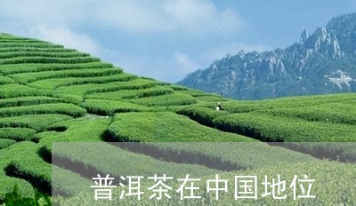 普洱茶在中国地位/2023041472814