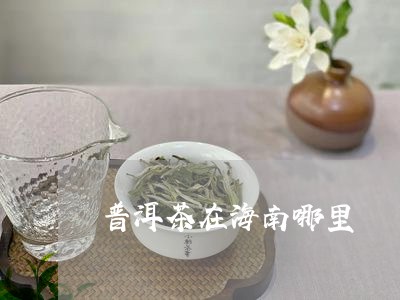 普洱茶在海南哪里/2023040947169