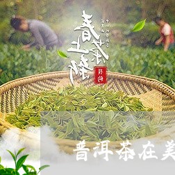 普洱茶在美国上架/2023041369940