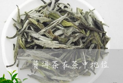 普洱茶在茶中地位/2023041129371