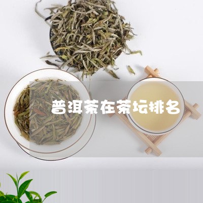 普洱茶在茶坛排名/2023041174957