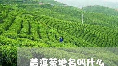 普洱茶地名叫什么/2023040161603