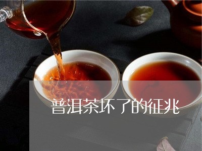 普洱茶坏了的征兆/2023033130826