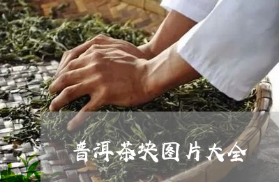 普洱茶块图片大全/2023041010796