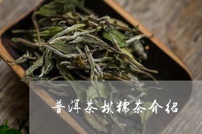 普洱茶坝糯茶介绍/2023041178495