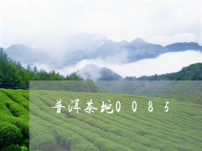 普洱茶坨0085/2023041011837