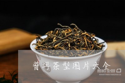 普洱茶型图片大全/2023040927039