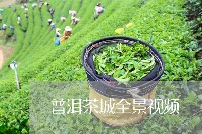 普洱茶城全景视频/2023041135047