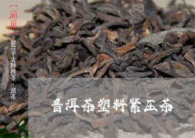 普洱茶塑料紧压茶/2023041106181