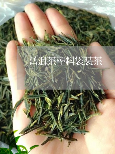 普洱茶塑料袋装茶/2023041181836