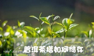 普洱茶塔如何储存/2023031829494