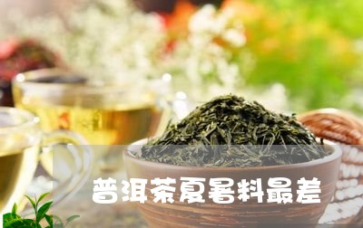 普洱茶夏暑料最差/2023031666171