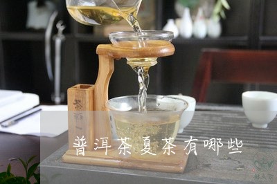 普洱茶夏茶有哪些/2023031648601