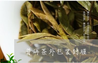 普洱茶外包装封膜/2023033106159