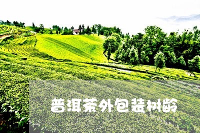 普洱茶外包装树龄/2023031660370