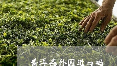 普洱茶外国进口吗/2023041350383