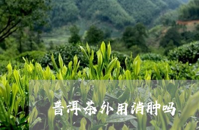 普洱茶外用消肿吗/2023040901504