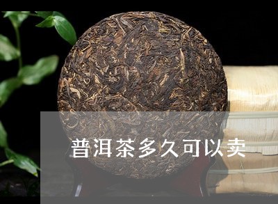 普洱茶多久可以卖/2023041075037