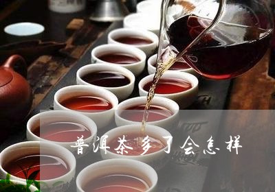 普洱茶多了会怎样/2023041101504