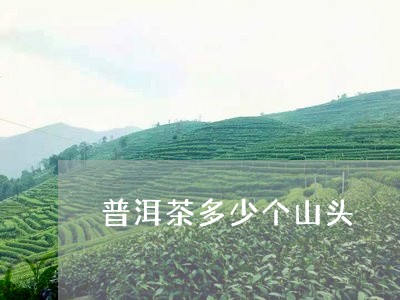 普洱茶多少个山头/2023041317260