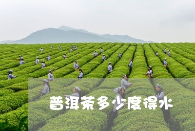 普洱茶多少度得水/2023033155248