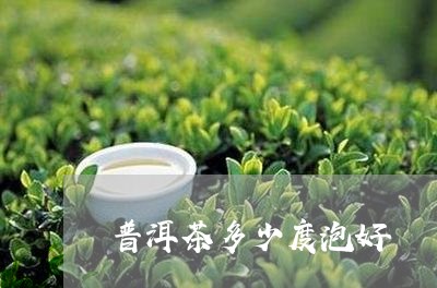 普洱茶多少度泡好/2023033039714