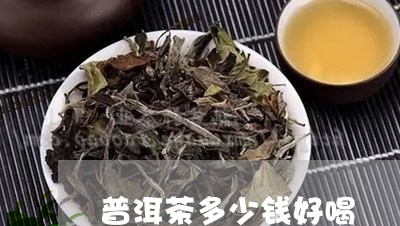 普洱茶多少钱好喝/2023033109394