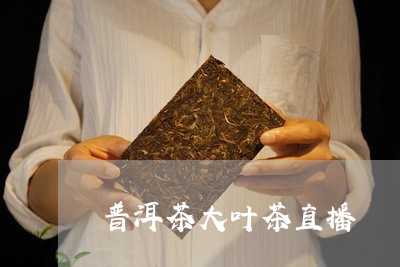 普洱茶大叶茶直播/2023041187280