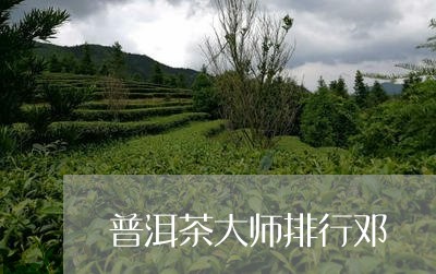 普洱茶大师排行邓/2023041058503